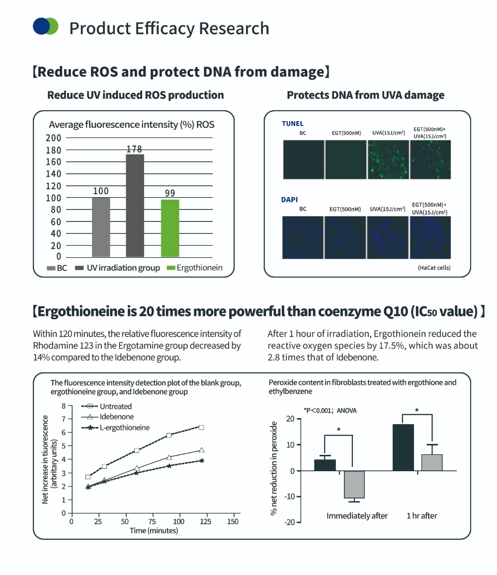 Composto antioxidante ergotioneína Composto antioxidante ergotioneína