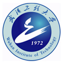 Universidade de Tecnologia de Wuhan