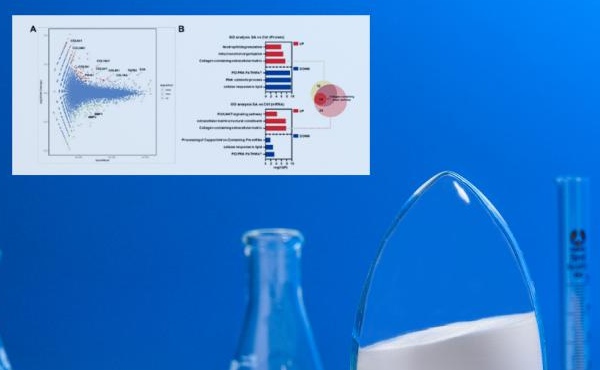 Revista de beleza de renome internacional "Sofw Journal": Technology Omics &amp; N -acetilneuramínico - Decodificando os segredos da pele jovem