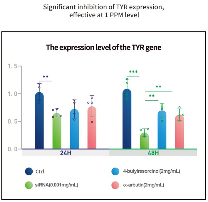 Ingredientes ativos de siRNA em cuidados com a pele