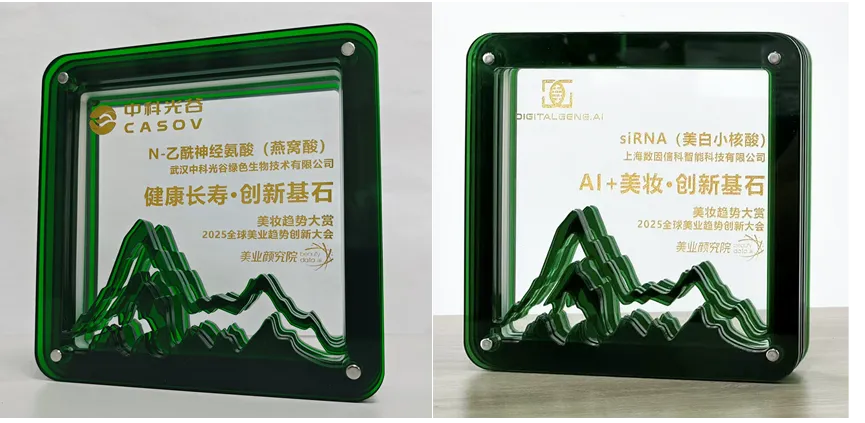 Prêmios de Inovação Dupla