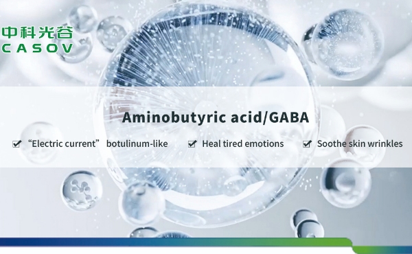 Papel do ácido aminobutírico (GABA) nos cuidados com a pele: uma solução natural antienvelhecimento