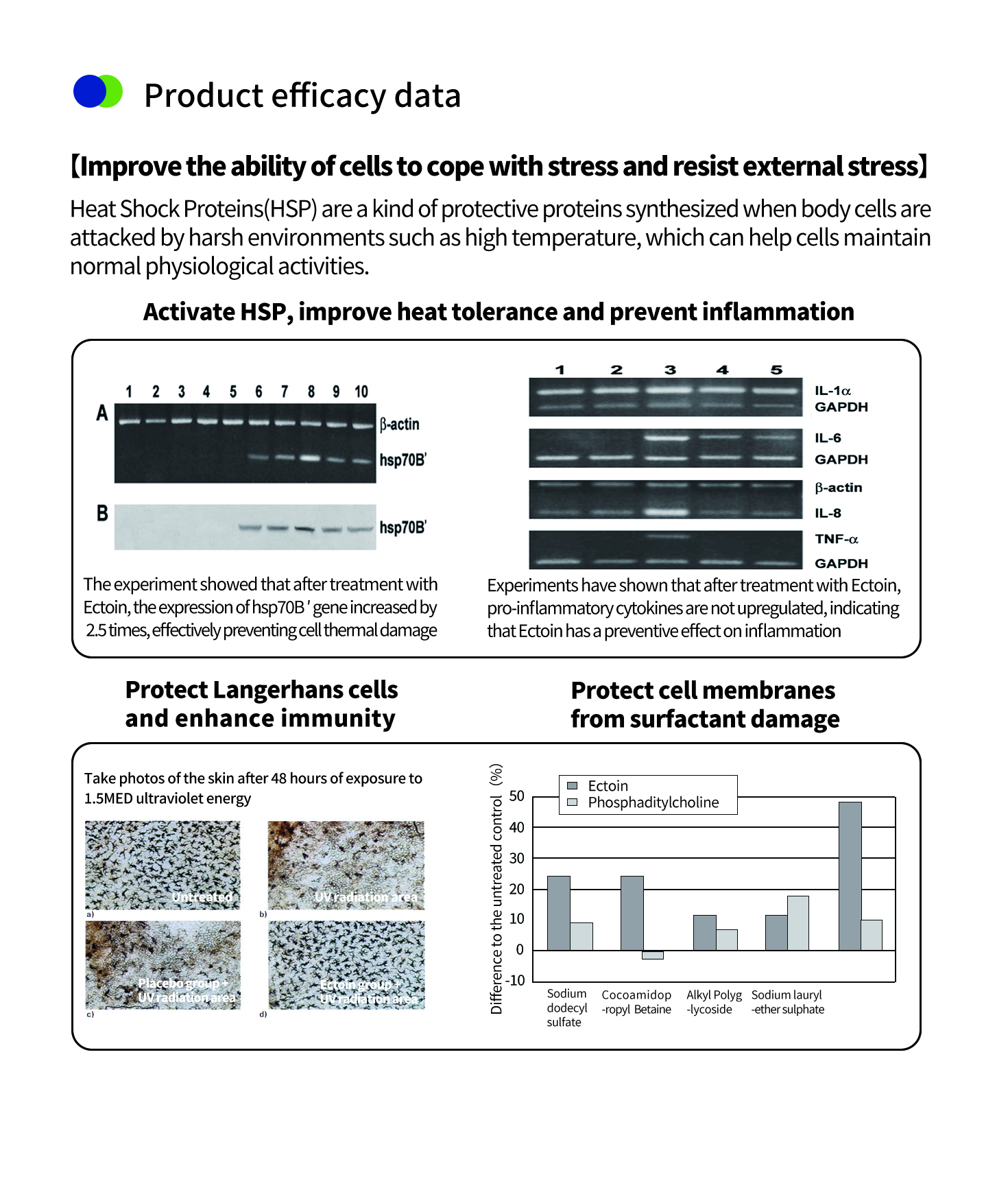 Pó de Ectoína para Pele Pó de Ectoína para Pele